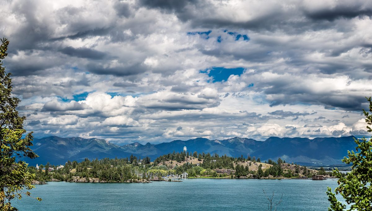 Credit: Adobe stock. May not be republished without license.