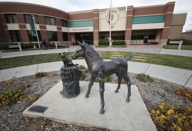 In this Nov. 6, 2017 photo, a sculpture stands outside the front door of the veterinary school at Colorado State University in Fort Collins, Colo. The mother of two Native American teenagers who campus police pulled from a Colorado State University campus tour after a parent reported feeling nervous about them said she believes her sons were victims of racial profiling and she feared for their safety after learning about the encounter. (AP Photo/David Zalubowski, File)