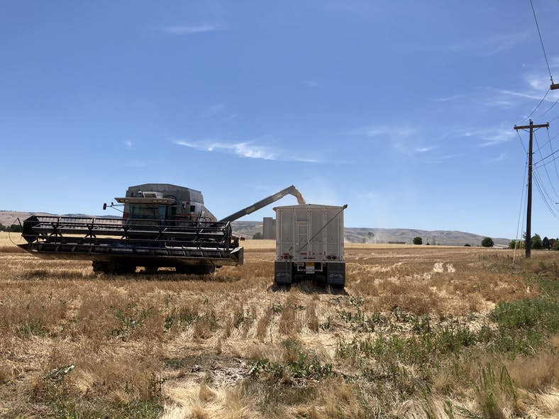 The Confederated Tribes of the Umatilla Indian Reservation has purchased farmland as part of their comprehensive land reclamation strategy.
