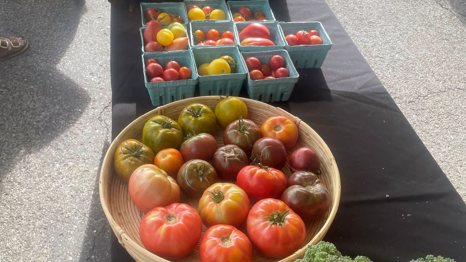 UTTC students sold summer squash, tomatoes and broccoli, Aug. 9, 2025. (Photo credit: Scott Grandi-Hill)