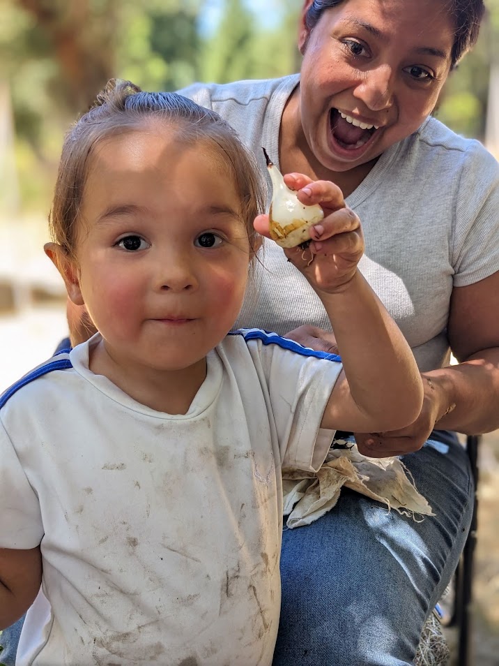 Two-year-old Ira Witcraft holds up a peeled camas bulb as his mother, LeeAndria Witcraft, marvels at the sight.
