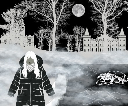 Graphics/ Castle Fox