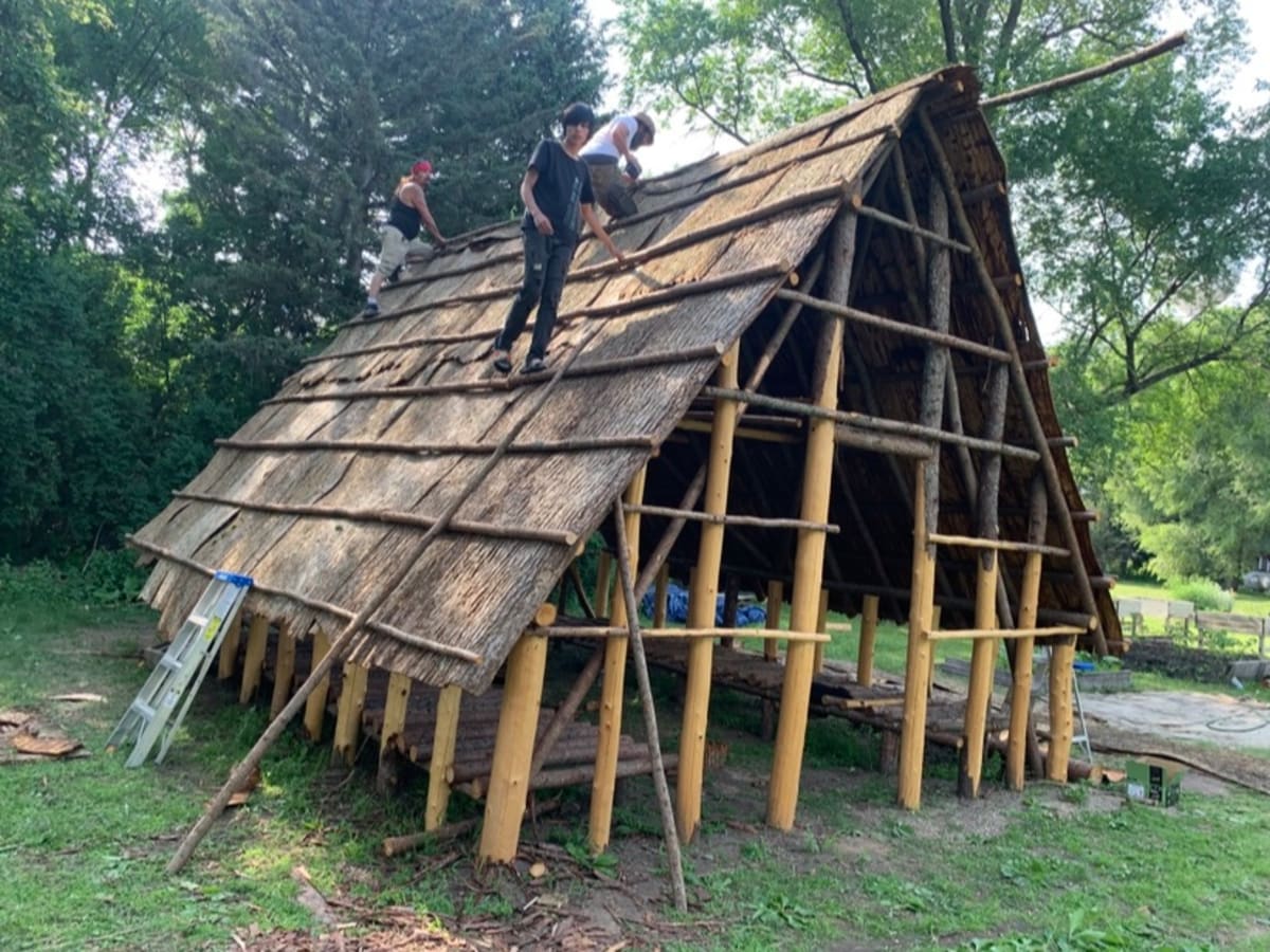 A traditional Dakota elm bark lodge goes up in May and June 2023 at the Lower Sioux Community in Minnesota, one of the first traditional lodges to be built in more than 100 years in the region. Through a partnership with the Great Lakes Lifeways Institute, lodges have been contructed for the Prairie Island Indian and Lower Sioux communities in Minnesota, and one is set to be constructed later in 2023 for the Aamjiwnaang First Nation in Ontario, Canada. (Photo courtesy of Sean Contreras)